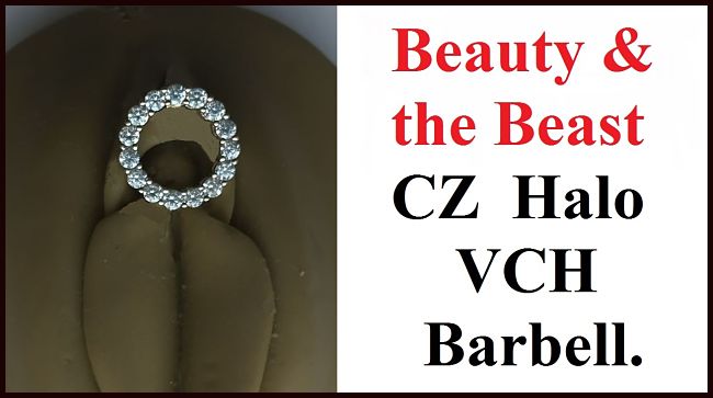 Beauty and the Beast CZ Halo VCH Barbell.
