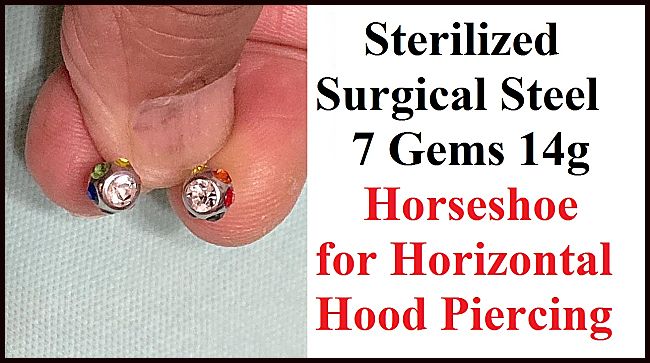 For Horizontal Hood Sterilized Surgical Steel 7 Gems 9/16" Horseshoe.