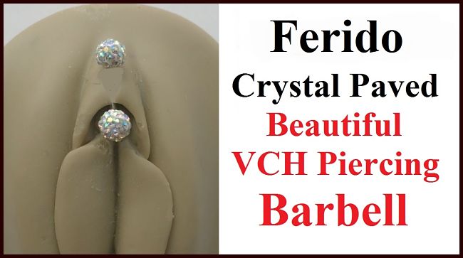 Ferido Crystal Paved Rainbow Color VCH Piercing Barbell.
