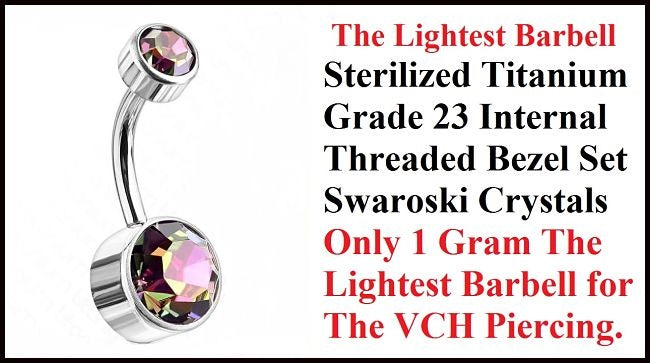 THE LIGHTEST 1 Gram Vitrail Medium Color Titanium INTERNALLY THREADED VCH Barbell.
