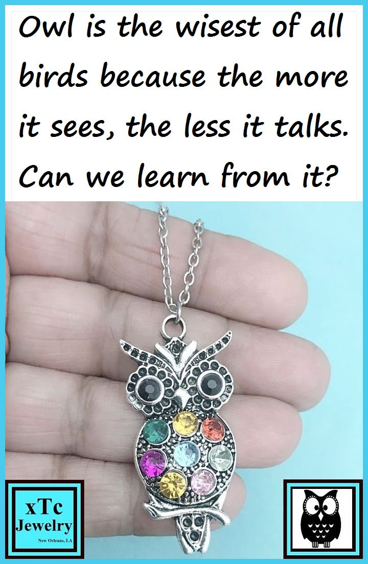 Beautiful OWL  filled with Cubic Zirconias Charm 18" Silver  Chain Necklace