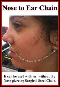 Custom Made Stainless Steel Nose to Ear Chain.