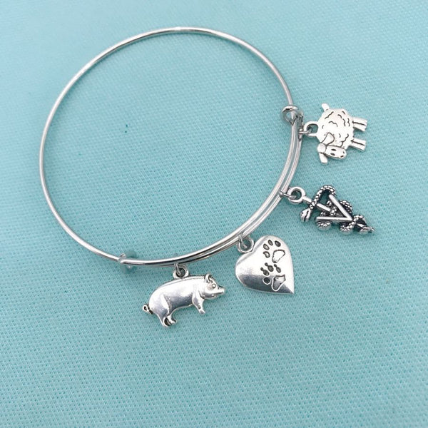 Medical Bracelet : Veterinarian Related Charms Expendable Bangle.