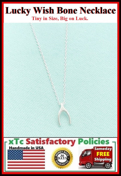 Good Luck Tiny WISHBONE Silver Charm 18" Necklace.