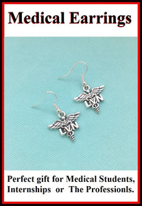 Medical Earring; Licensed Vocational Nurse Charms Dangle earrings.