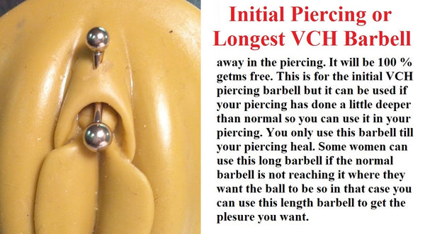 Sterilized Surgical Steel INITIAL or LONGEST VCH Piercing Barbell.