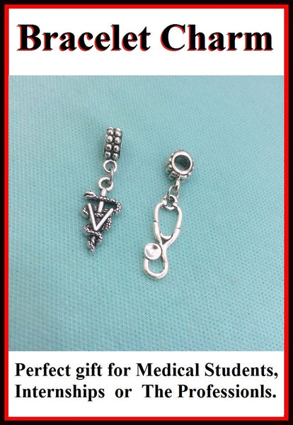 Medical Bracelet Charms : Veterinarian and Stethoscope Charms.