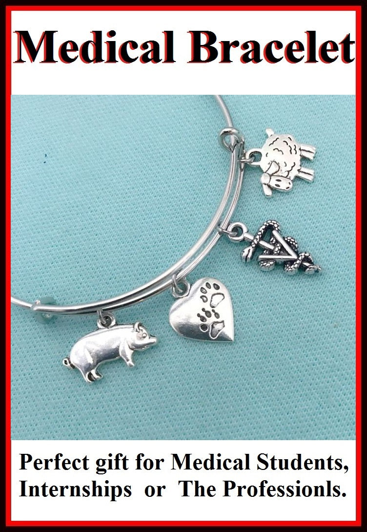 Medical Bracelet : Veterinarian Related Charms Expendable Bangle.