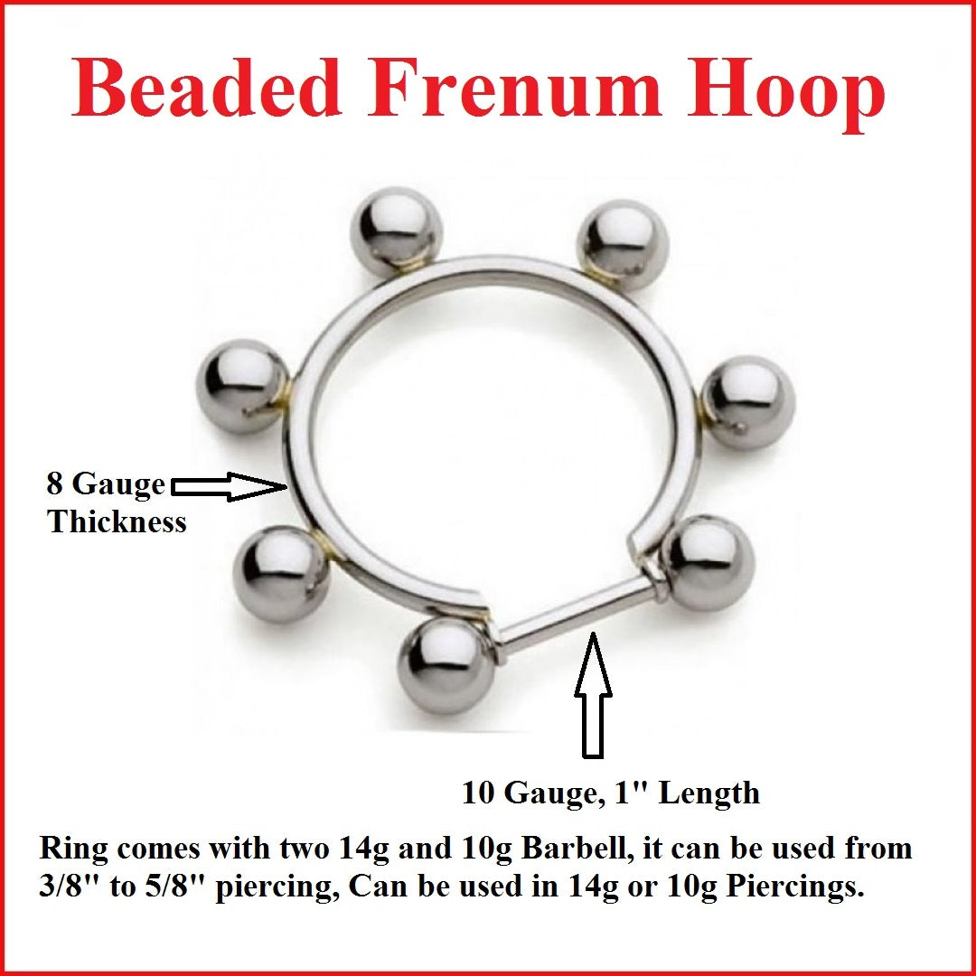 Stainless Steel 8mm 5 Beaded 32mm Diameter FRENUM Hoop with 14g and 10 –  xtc-jewelry